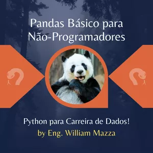 Curso de Pandas Básico – 100% Online